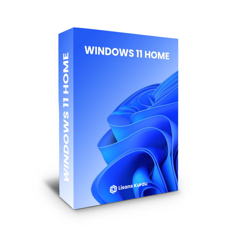 windows 11 home