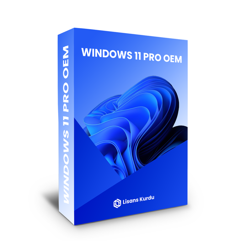 windows 11 pro oem